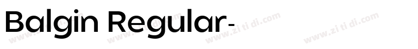 Balgin Regular字体转换